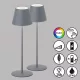 Fisher&Honsel Cosenza 850342 Asztali lámpa 2x2W/LED RGBW 270lm IP44