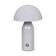 Italux Dorbia TB-83647-GR Asztali lámpa 1x2W/LED 3000-6500K 45lm IP20