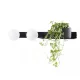 Kaspa BOTANICA DECO 20853202 Fali lámpa 2x9W/E14 IP20