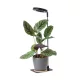 Kobi 004321 Verdi V2 LED növénynevelő lámpa fekete 5W IP20