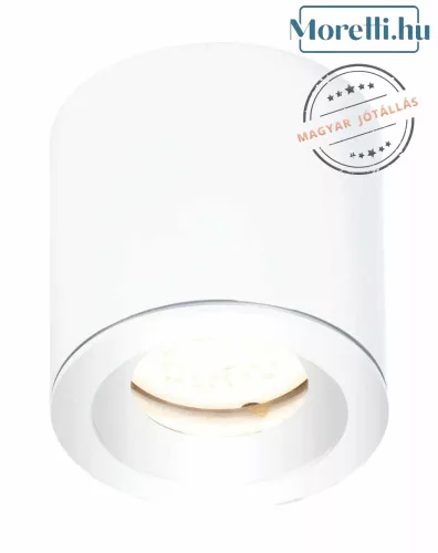 fürdőszobai mennyezeti lámpa fehér színű vázzal és fém testtel beltéri használatra maxlight-c0215 - moretti.hu