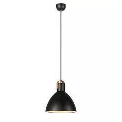 Markslojd EAGLE 106550 Függőlámpa 1x60W/E27 IP20