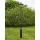 Markslojd GARDEN 24 108171 Utcai lámpa 1x3W/LED 3000K IP44