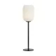 Markslojd CAVA 108252 Asztali lámpa 1x40W/E14 IP20