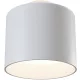 Maytoni PLANET C009CW-L12W Plafonlámpa 2x12W/LED IP20