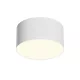 Maytoni Zon C032CL-12W3K-RD-W 1x12W/LED 3000K 660lm IP20