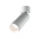 Maytoni Focus Zoom C055CL-L12W4K-Z-W 1x12W/LED 4000K 960lm IP20