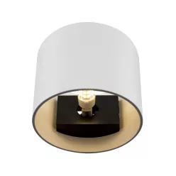Maytoni ROND C066WL-01W Fali lámpa 1x50W/G9