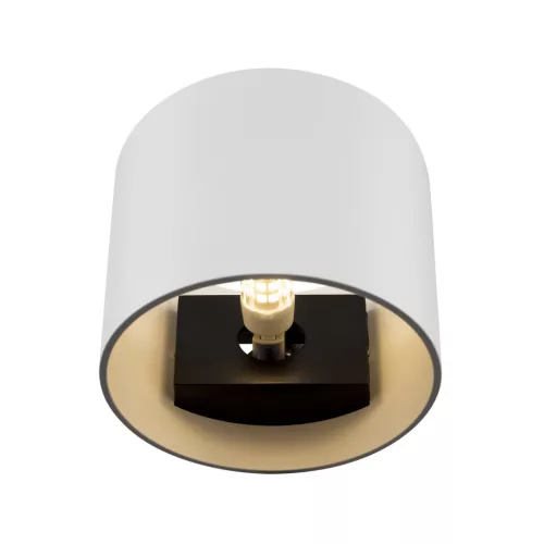 Maytoni ROND C066WL-01W Fali lámpa 1x50W/G9