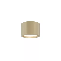 Maytoni Hydra C090CL-10W3K-MG 1x10W/LED 3000K 650lm IP44