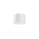 Maytoni Hydra C090CL-10W3K-W 1x10W/LED 3000K 740lm IP44