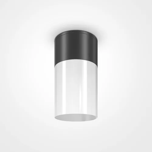 Maytoni WILLIS O418CL-01B Felületi spotlámpa 1x60W/E27 IP54