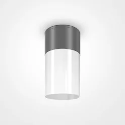   Maytoni WILLIS O418CL-01GR Felületi spotlámpa 1x60W/E27 IP54