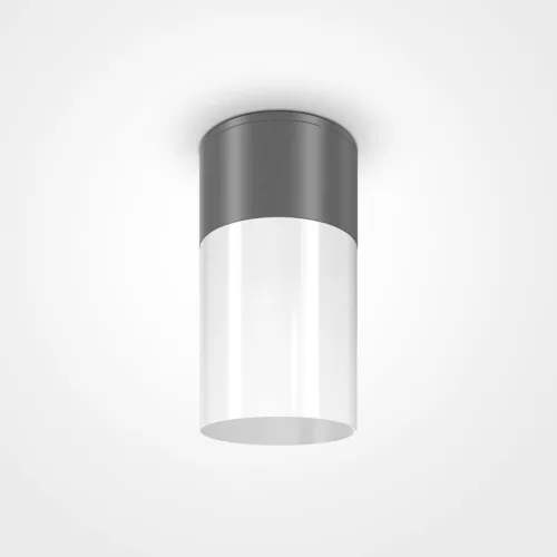 Maytoni WILLIS O418CL-01GR Felületi spotlámpa 1x60W/E27 IP54