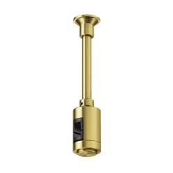 Maytoni Flarity TRA155CW-SL1-BS Függeszték