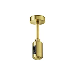 Maytoni Flarity TRA156C-S1-BS Függeszték