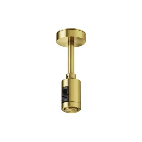 Maytoni Flarity TRA156C-S1-BS Függeszték