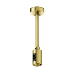 Maytoni Flarity TRA156C-SL1-BS Függeszték