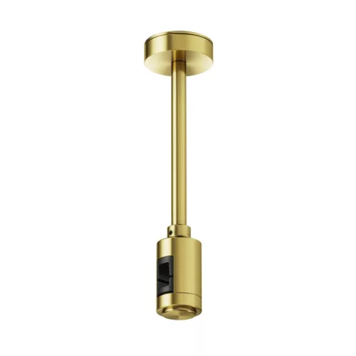 Maytoni Flarity TRA156C-SL1-BS Függeszték