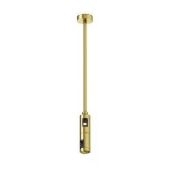 Maytoni Flarity TRA158C-D1-BS Függeszték IP20