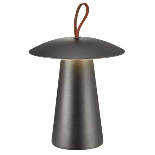Nordlux ARA 2318245003 Asztali lámpa 1x2W/LED 3000K IP54