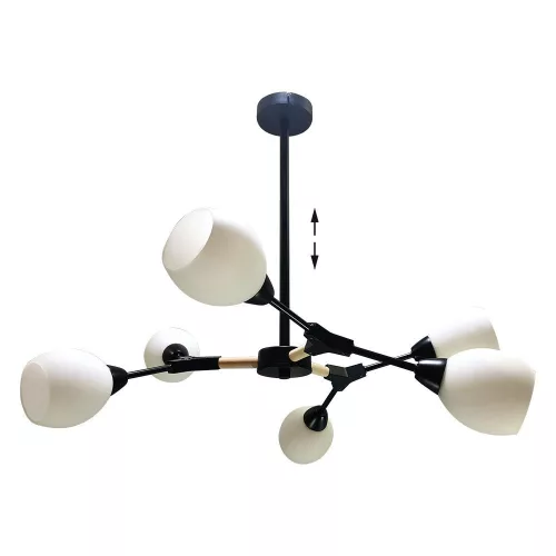 Prezent CITTERIO 18300 Plafonlámpa 6x40W/E14 IP20