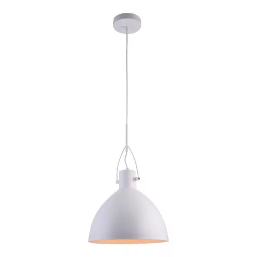 Prezent ANDROS II. 46301 Függőlámpa 1x40W/E27 IP20