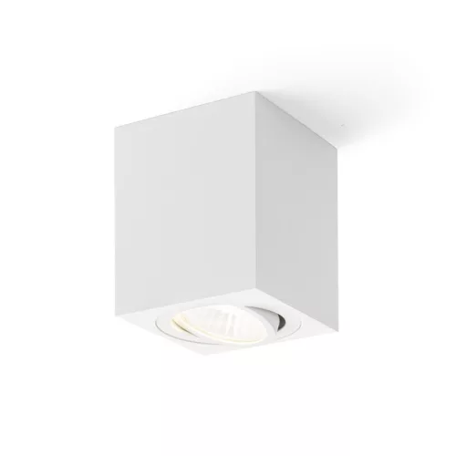RENDL MAYO SQ mennyezeti billenthető fehér 230V/700mA LED 9W 36° 2700K