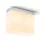 RENDL ARANA SQ felületre szerelhető matt nikkel 230V LED E14 2x6W