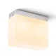 RENDL ARANA SQ felületre szerelhető matt nikkel 230V LED E14 2x6W