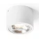 RENDL KELLY LED DIMM mennyezeti lámpa fehér 230V LED 15W 45° 3000K