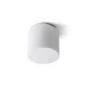 RENDL ARANA R 17 mennyezeti lámpa opálüveg/króm 230V LED E27 11W IP44