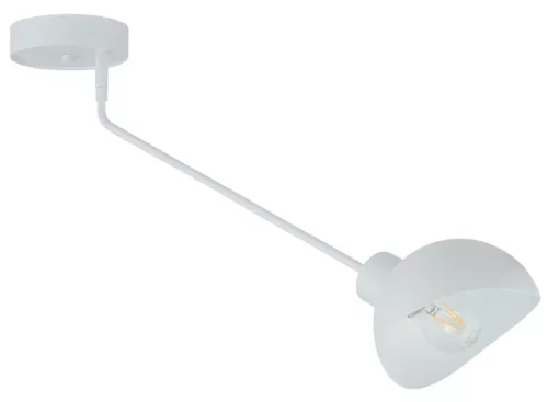 Sigma Lighting Roy 32428 Plafonlámpa 1x15W/E27 IP20