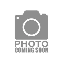   SLV NUMINOS® SPOT DALI XL 1005757 Felületi spotlámpa 1x36W/LED 4000K 3760LM