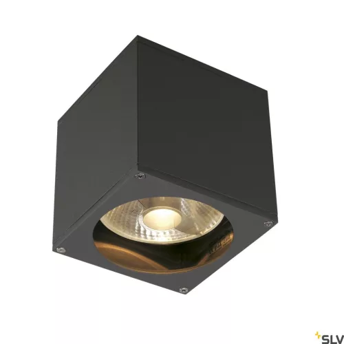 SLV THEO 229565 Fali lámpa 1x75W/GU10/ES111 IP44
