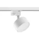TK Lighting TRACER 6156 Sínreflektor 3x10W/GX53 IP20