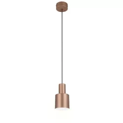 TRIO 319400165 AGUDO Vintage Függesztett Lámpa E27 IP20