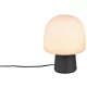 Trio STEEN 568200132 Asztali lámpa 1x10w/e14 ip20
