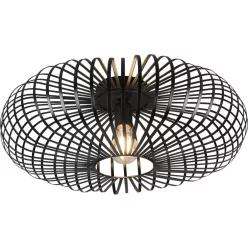 Trio JOHANN 606905032 Plafonlámpa 1x60w/e27 ip20