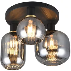 Trio DIVA 619800332 Plafonlámpa 3x10w/e27 ip20