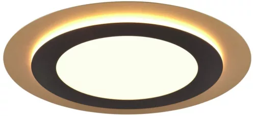 Trio MORGAN 641519280 Plafonlámpa 1x42w/led 2700-6500k 5600lm ip20