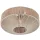 Trio SVEA 664700144 Plafonlámpa 1x10w/e27 ip20