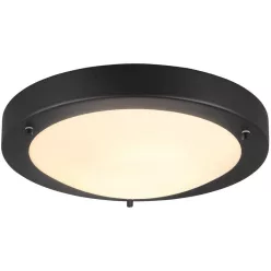 Trio CONDUS 6801011-32 Plafonlámpa 1x60w/e27 ip44