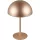 Trio MUNOZ R54891165 Asztali lámpa 1x1.3w/led 3000k 120lm ip20