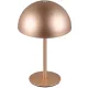 Trio MUNOZ R54891165 Asztali lámpa 1x1.3w/led 3000k 120lm ip20