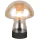 Trio DOOLEY R54981113 Asztali lámpa 1x1.5w/led 3000k 140lm ip20