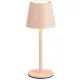 Trio DIAZ R55961166 Asztali lámpa 1x1.6w/led 2700-6500k 160lm ip44