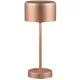 Trio JEFF R59151165 Asztali lámpa 1x1.5w/led 3000K 150lm ip20