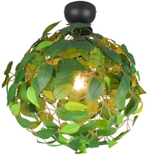 Trio LEAVY R60461015 Plafonlámpa 1x28w/e27 ip20
