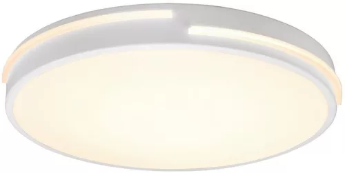 Trio TACOMA R62241131 Plafonlámpa 1x24w/led 2700-6500k 2500lm ip20